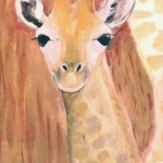 junge Giraffe