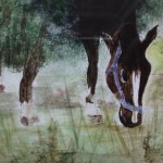 grasendes Pferd auf der Weide