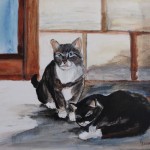 zwei Katzen