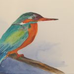 Eisvogel Aquarell