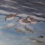 3 Wasservögel
