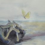 Schmetterling im Anflug